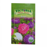 Victoria Aster Flower Seed