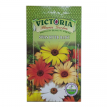 Victoria Swan River Daisy Flower Seed