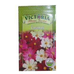 Victoria Cosmos Flower Seed