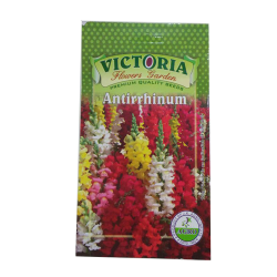 Victoria Antirrhinum Flower Seed