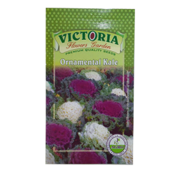 Victoria Ornamental Kale Flower Seed