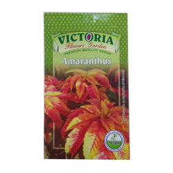 Victoria Amaranthus  Flower Seed