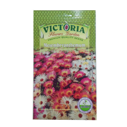 Victoria Mesembryanthemum  Flower Seed