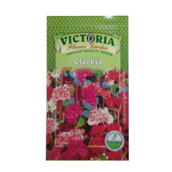 Victoria Clarkia  Flower Seed