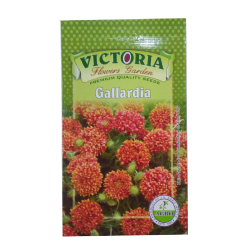 Victoria Gaillardia  Flower Seed