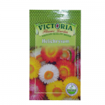 Victoria Helichrysum  Flower Seed
