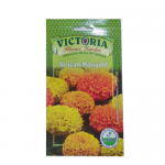 Victoria African Marigold Flower Seed