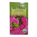 Victoria Verbena Flower Seed