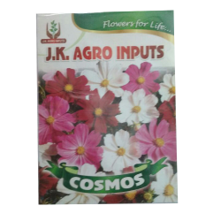 Cosmos Flower Seed