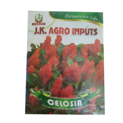 Celosia Flower Seed