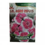 Dianthus Flower Seed