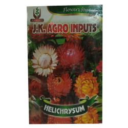 Helichrysum Flower Seed