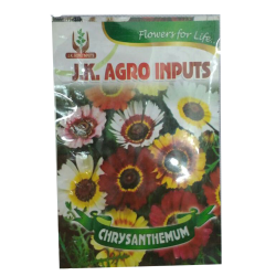 Chrysanthemum Flower Seed