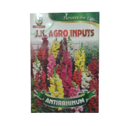 Antirrhinum Flower Seed