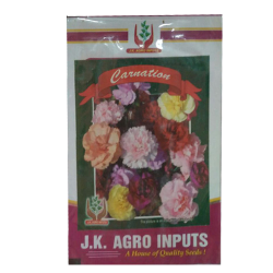 Carnation Flower Seeds