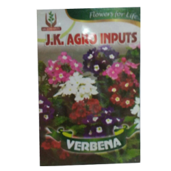Verbena Flower Seed