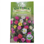 Victoria Portulaca Flower Seed