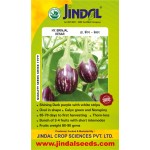Jindal Brinjal Seeds-Kesar-10gm