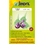 Jindal Brinjal Seeds-Lanser-10gm
