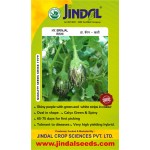 Jindal Brinjal Hybrid (baingan Seeds)-Rishi-10GM