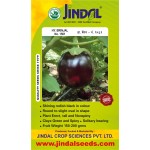 Jindal Brinjal Seeds Hybrid 1561-10gm