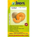 Jindal muskmelon Hybrid Seeds(kharabooja Seeds)-Delhi Kesari-10GM