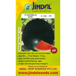 Jindal Watermelon Hybrid Seeds(Tarabooj Seeds) Raven-50GM