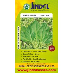 Jindal Spinach Seeds(Palak Seeds) Saurabh  -500GM