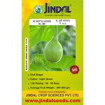 Jindal Bottle Gourd Seeds(Laukee Seeds) Super Mini -50GM