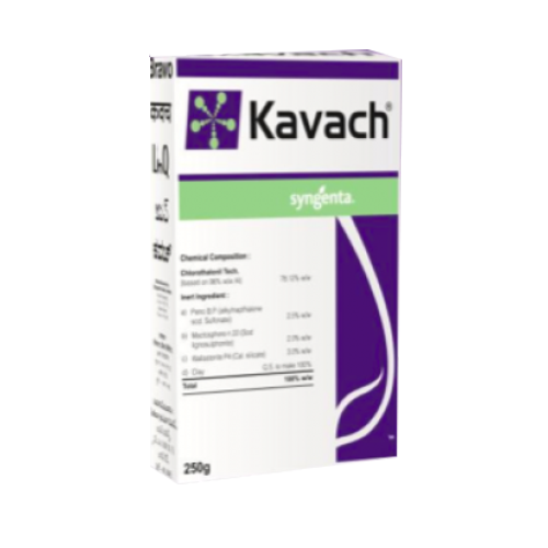 Syngenta Kavach (Chlorothalonil 75% WP)