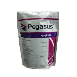Syngenta Pegasus (Diafenthiuron 50% W) Insecticide