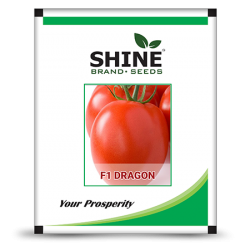 Hybrid Tomato Seeds - F1 Dragon (10GM) (DRAGON01)