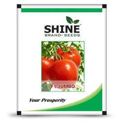 Hybrid Tomato Seeds - F1 Jumbo (10GM) (JUMBO01)