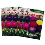 Aster Flower Seeds