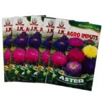 Aster Flower Seeds