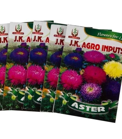 Aster Flower Seeds