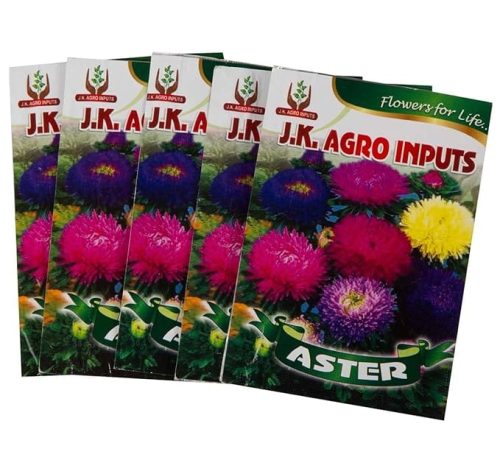 Aster Flower Seeds