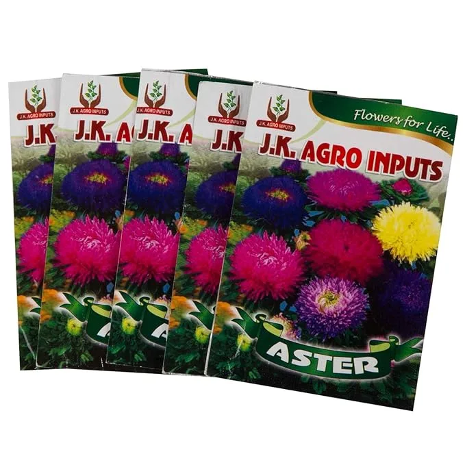 Aster Flower Seeds