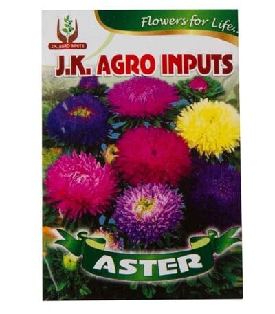 Aster Flower Seeds