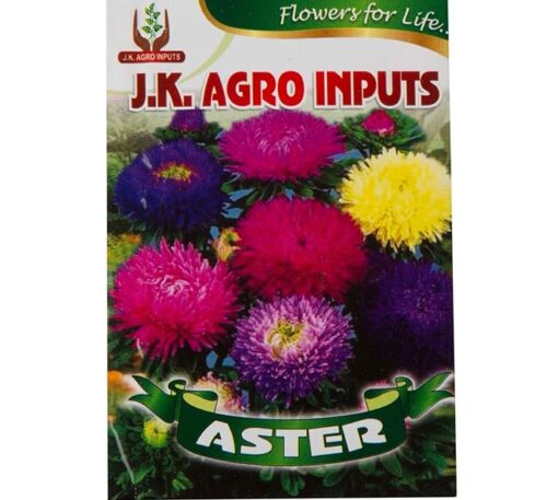 Aster Flower Seeds