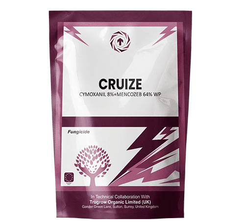 Cruize Fungicide 8% Cymoxanil + 64% Mancozeb WP