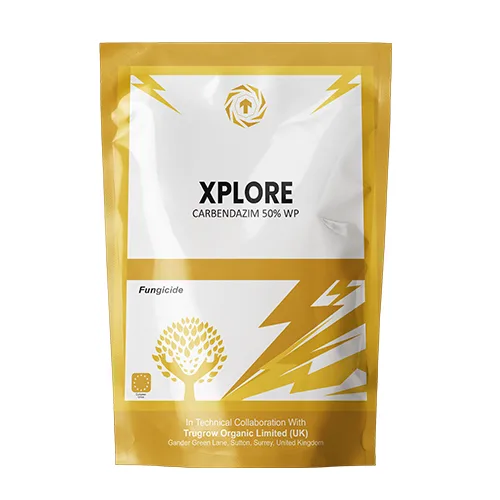 Xplore Carbendazim 50% WP Systemic Fungicide