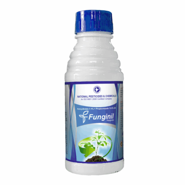 Funginil – Azoxystrobin 7.1% + Propiconazole 11.9% SE | Systemic Broad-Spectrum Fungicide