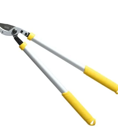 Hectare Precision Anvil Lopper.