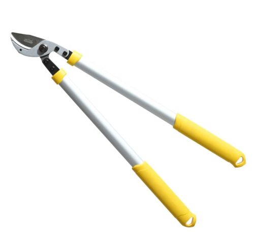 Hectare Precision Anvil Lopper.