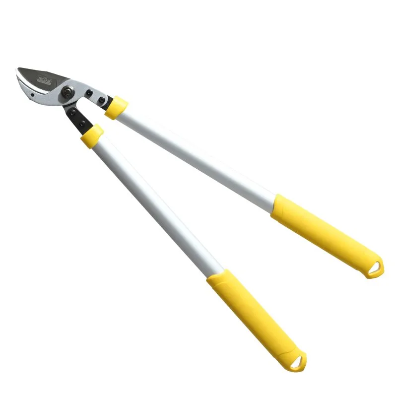 Hectare Precision Anvil Lopper.