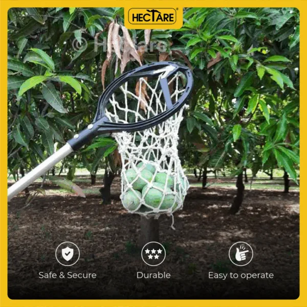 Hectare Mango Picker (without Pole) – Premium Fruit Harvesters