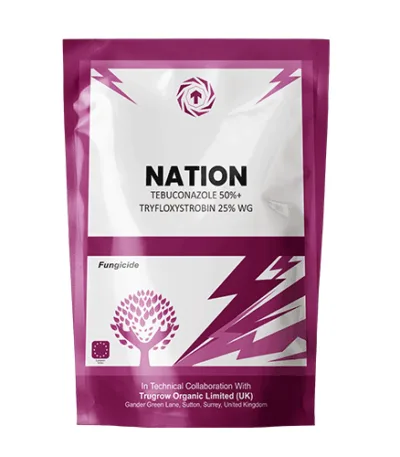 Nation Fungicide Tebuconazole 50% + Trifloxystrobin 25% WG