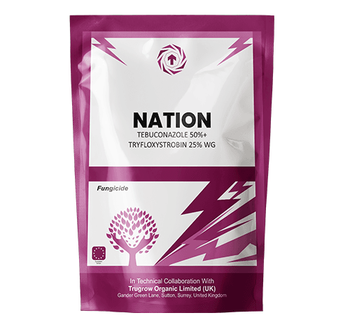 Nation Fungicide Tebuconazole 50% + Trifloxystrobin 25% WG