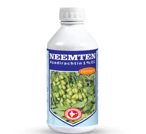 Neemten